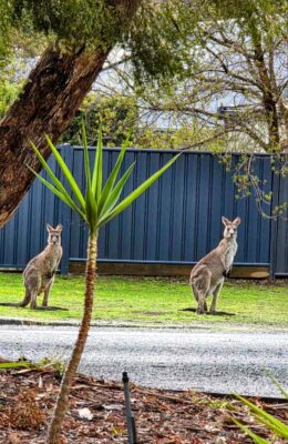 783df3f3f8c83b39017a239aaac6afab