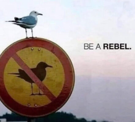 96423312-dbba-41c8-8c16-582859547d06